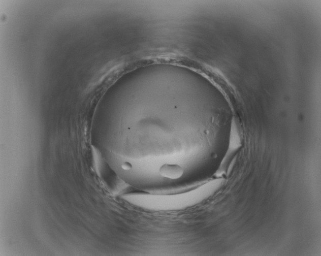 X0000084021399200703022045