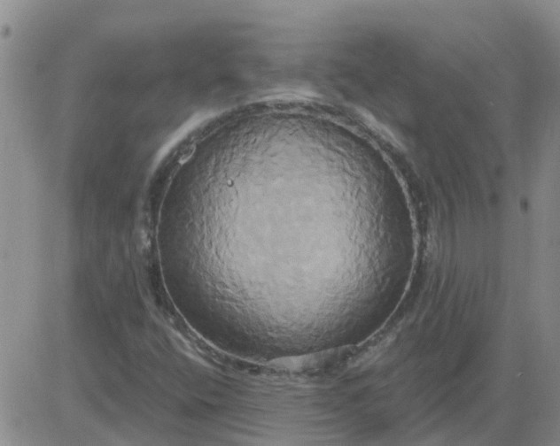 X0000084021400200703022045