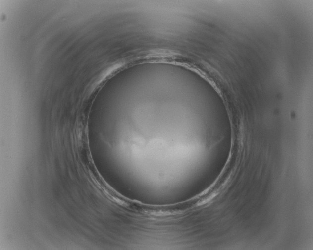 X0000084021401200703022045