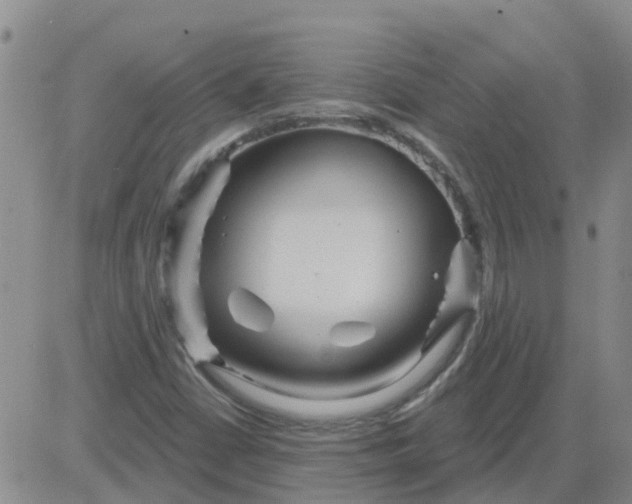 X0000084021402200703022045