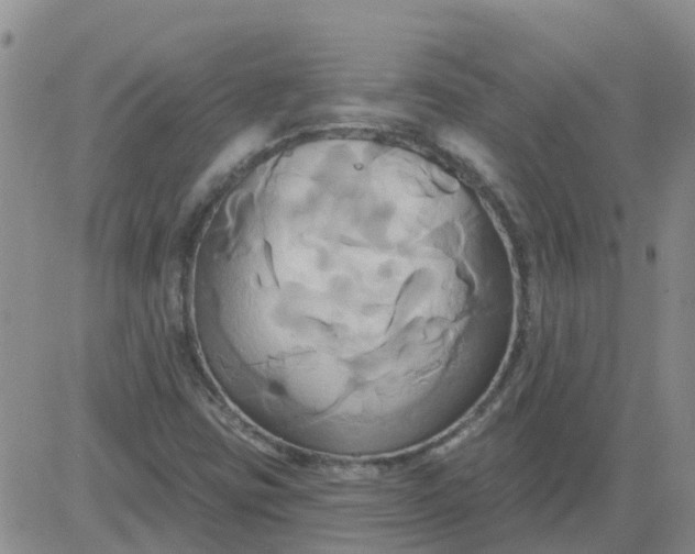 X0000084021403200703022045