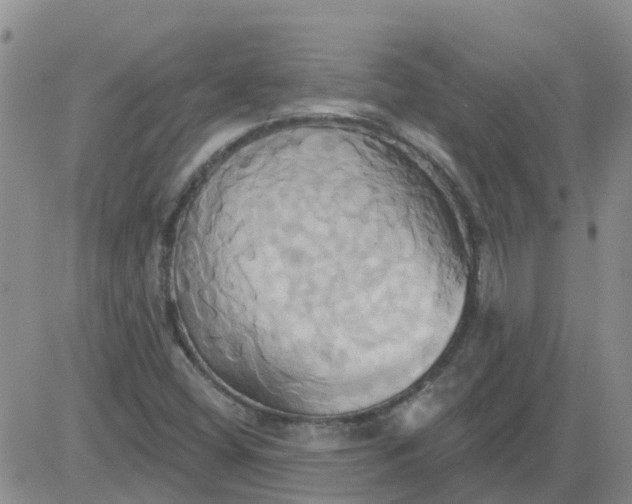 X0000084021404200703022045