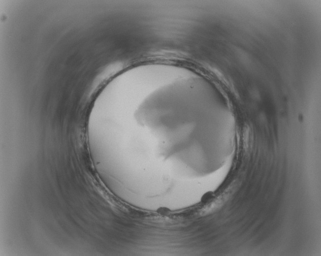 X0000084021405200703022045