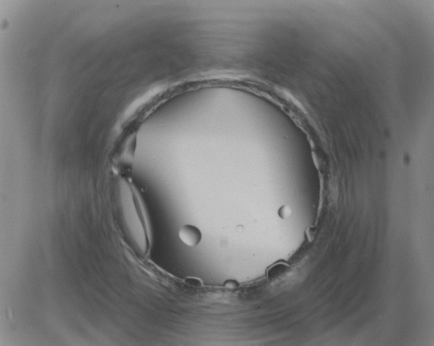 X0000084021406200703022045