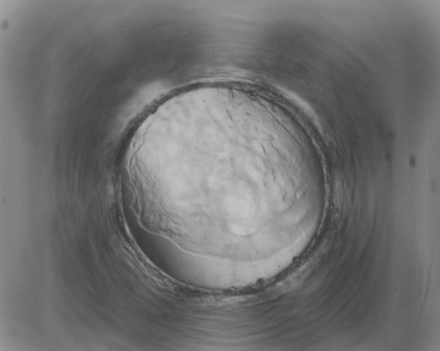 X0000084021407200703022045