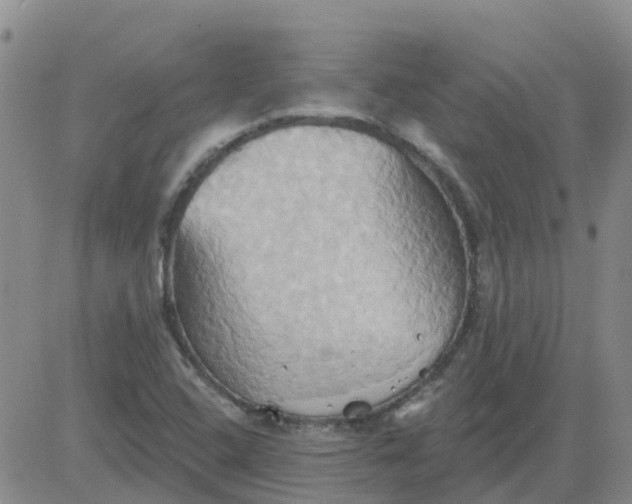 X0000084021408200703022045