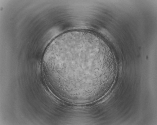 X0000084021409200703022045