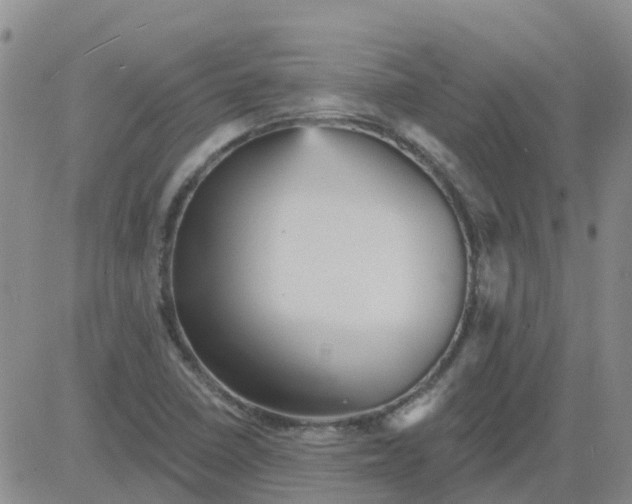 X0000084021410200703022045