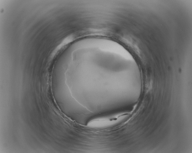 X0000084021411200703022045