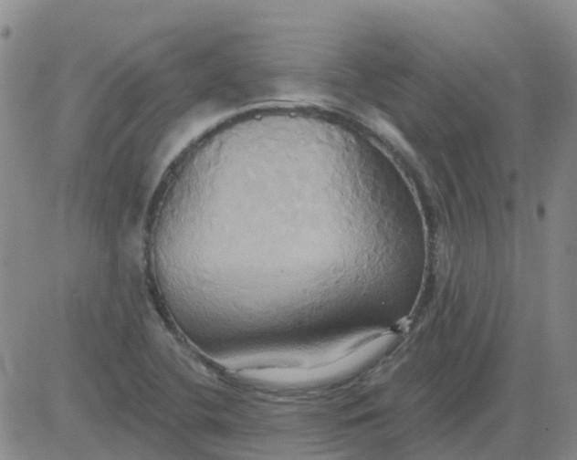 X0000084021412200703022045