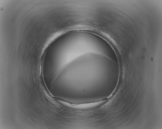 X0000084021413200703022045