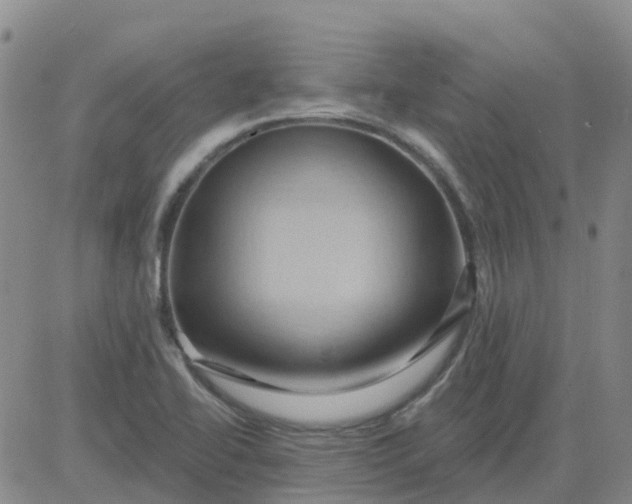 X0000084021414200703022045