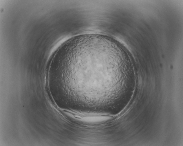 X0000084021415200703022045