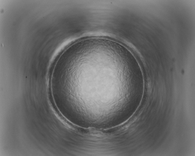 X0000084021416200703022045