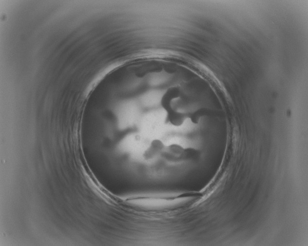 X0000084021417200703022045