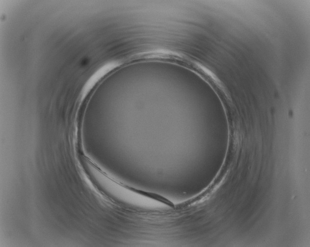 X0000084021418200703022045