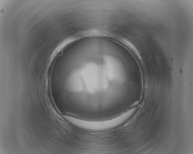 X0000084021419200703022045