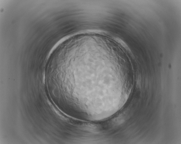 X0000084021420200703022045