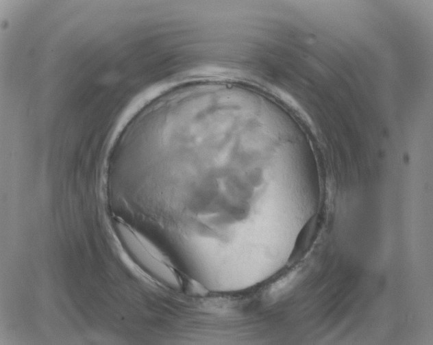 X0000084021421200703022045