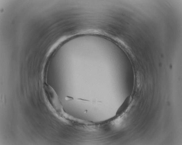 X0000084021422200703022045