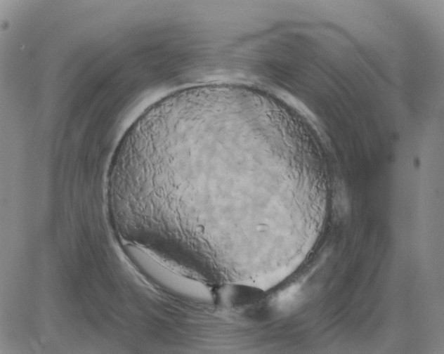 X0000084021423200703022045