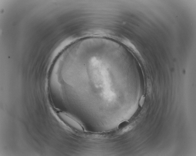 X0000084021424200703022045