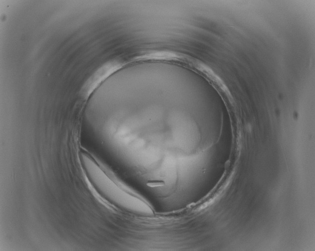 X0000084021425200703022045