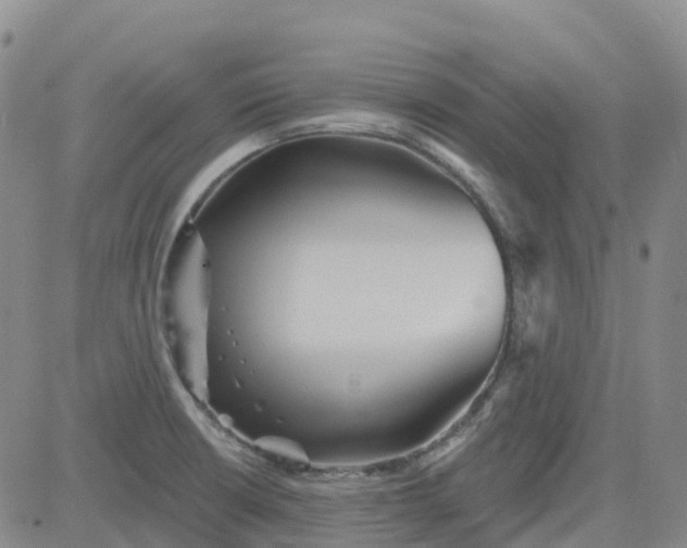 X0000084021426200703022045