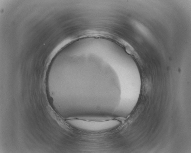 X0000084021427200703022045