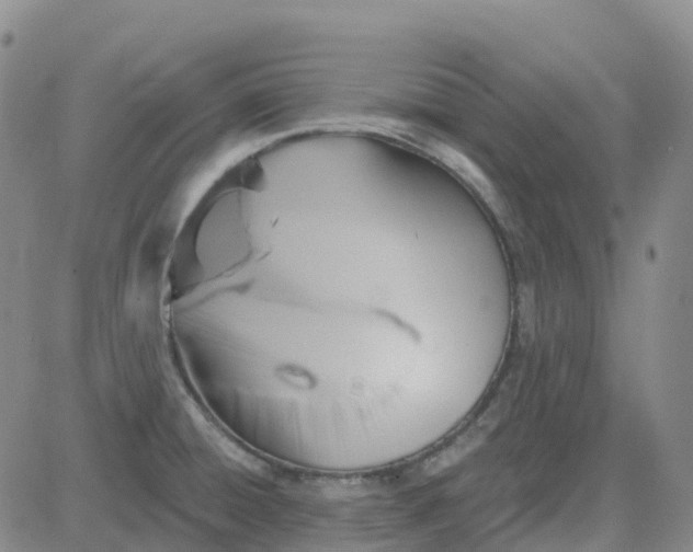 X0000084021428200703022045