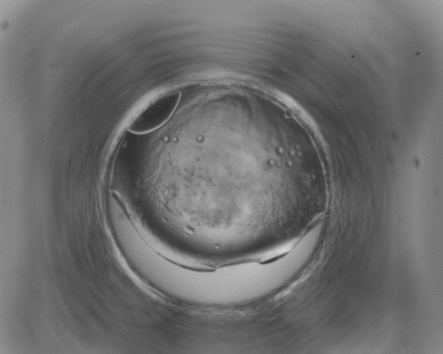 X0000084021429200703022045