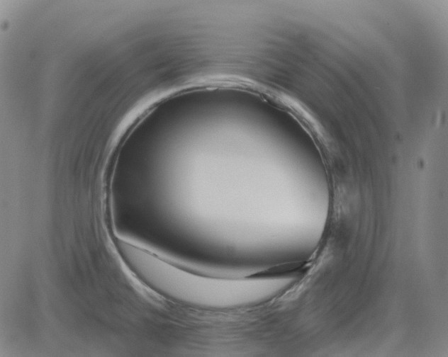 X0000084021430200703022045