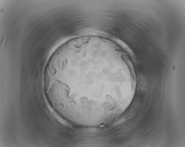 X0000084021431200703022045