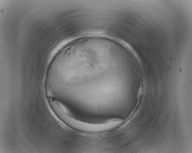 X0000084021432200703022045