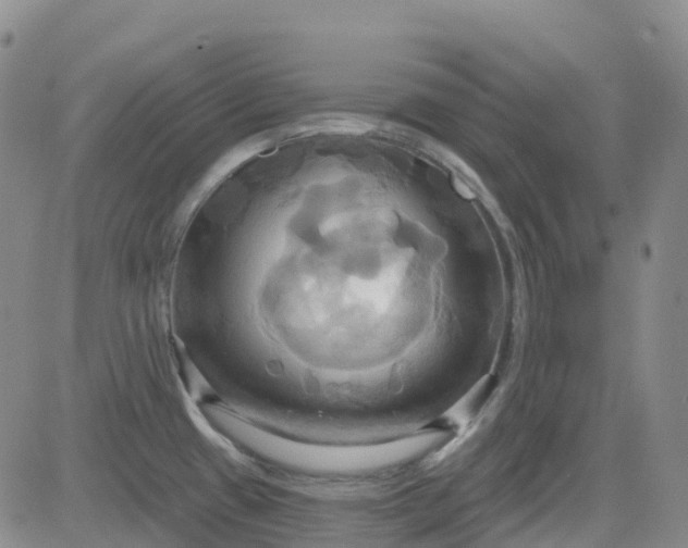 X0000084021433200703022045