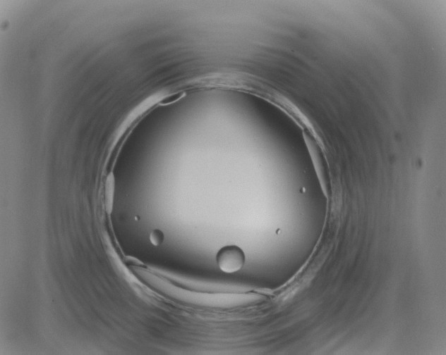 X0000084021434200703022045