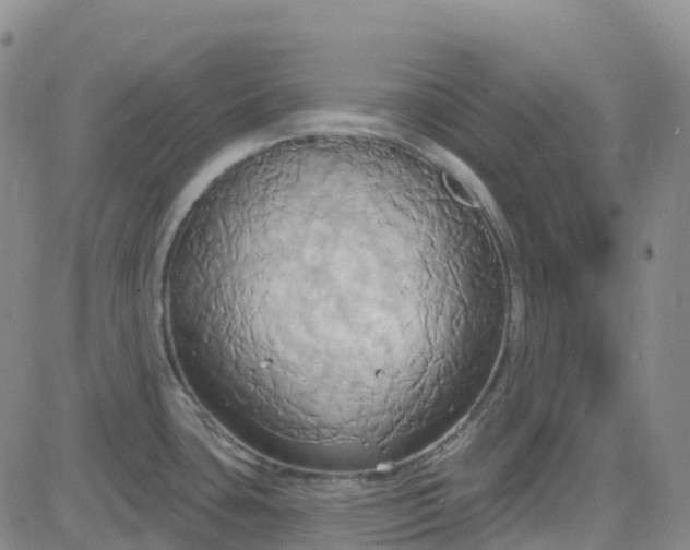 X0000084021435200703022045