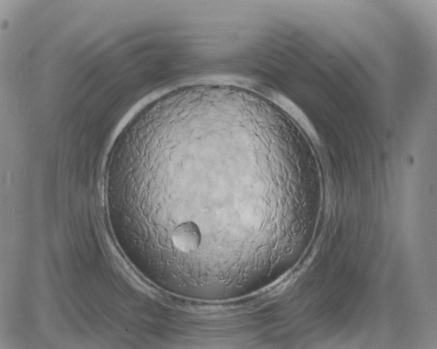 X0000084021436200703022045