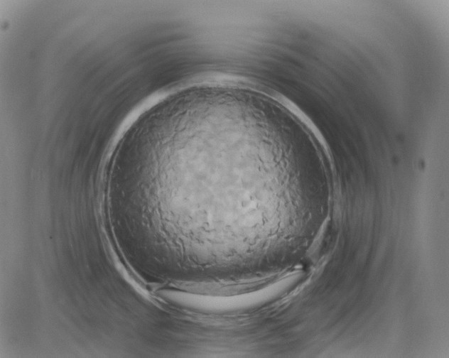 X0000084021437200703022045