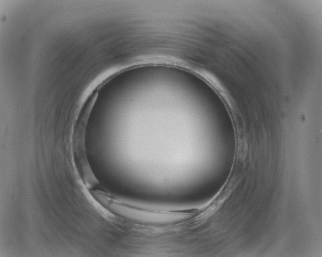 X0000084021438200703022046