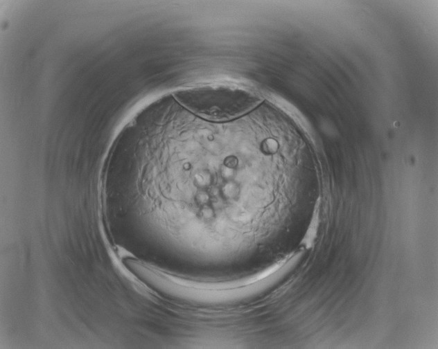 X0000084021439200703022046