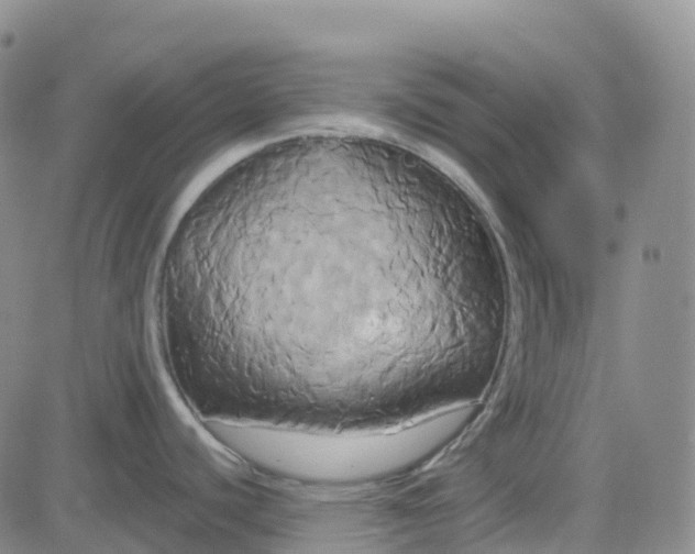 X0000084021440200703022046