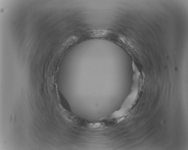 X0000084021441200703022045