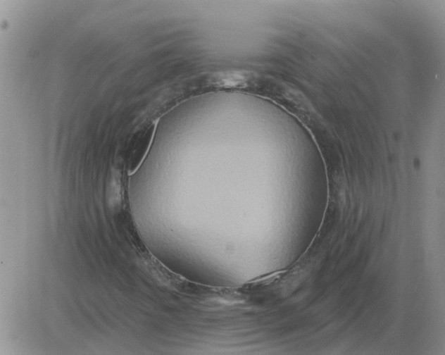 X0000084021442200703022045