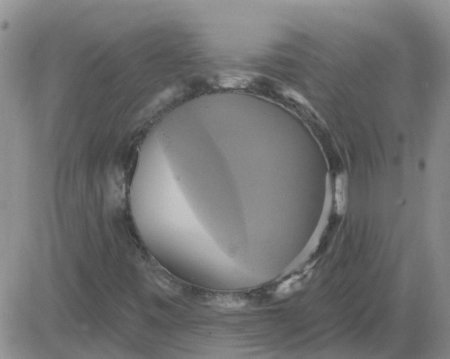 X0000084021443200703022045