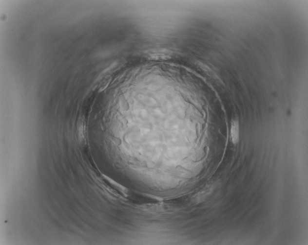 X0000084021444200703022045