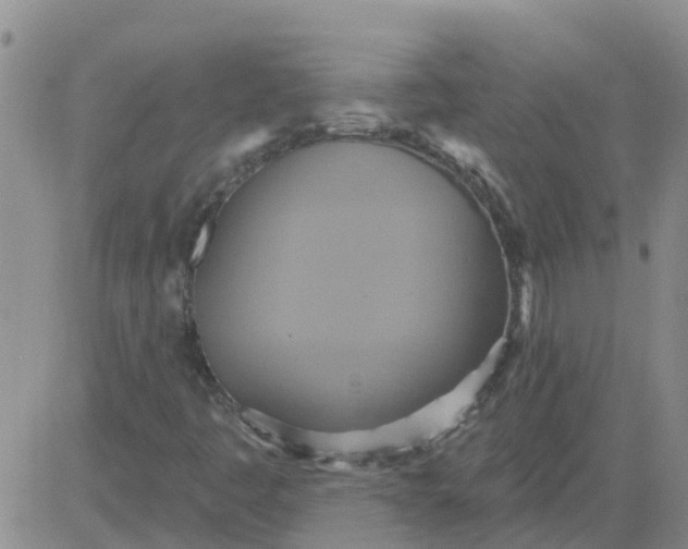 X0000084021445200703022045