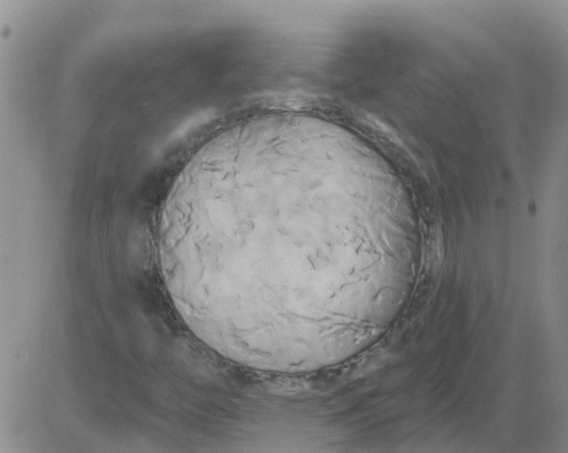 X0000084021446200703022045