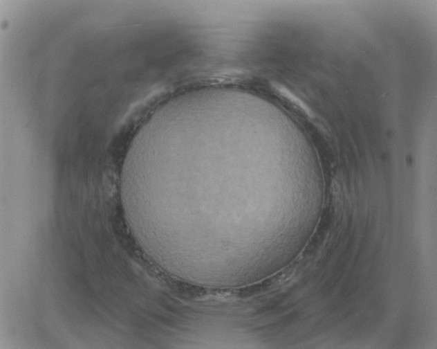 X0000084021447200703022045