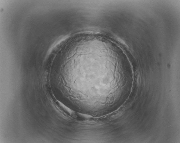 X0000084021448200703022045